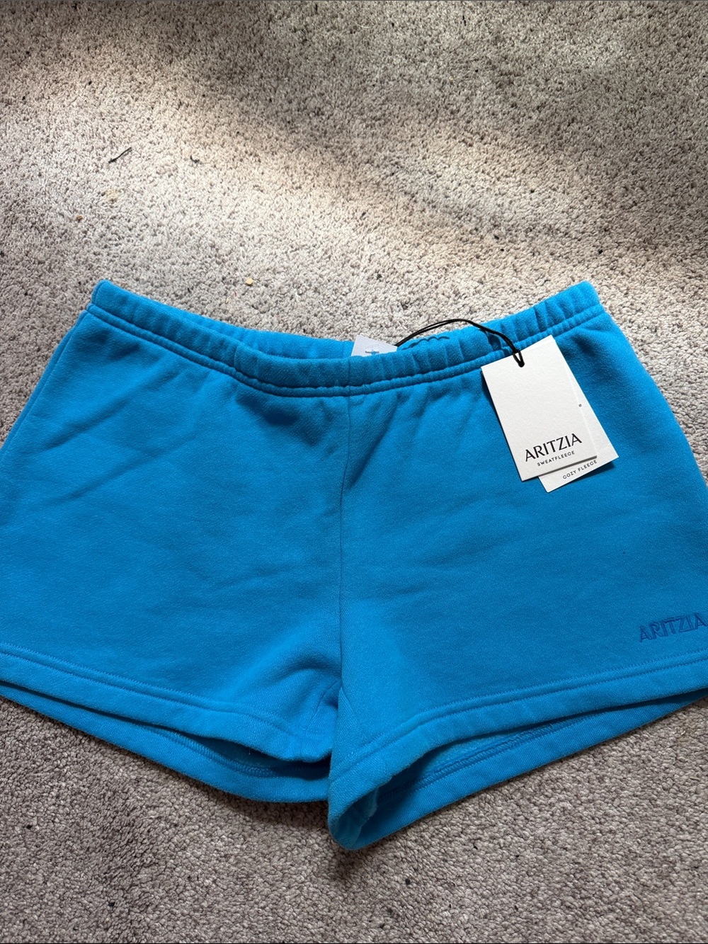 Aritzia splash blue boyfriend lo-rise mini shorts